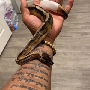 Meet your Posher, Santi